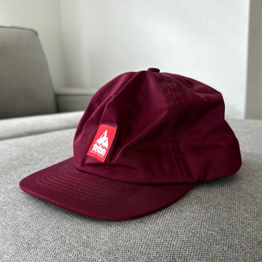 Teton Gravity Research Burgundy Cap